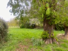 4631C GARDEN IMG 1261 RESIZED 2026